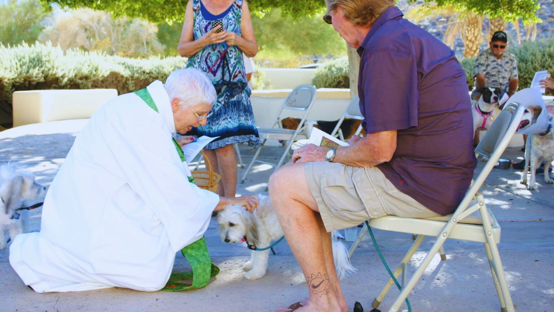 Blessing of the Animals